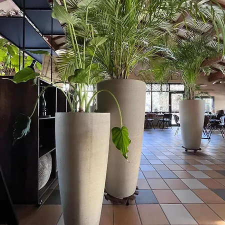 Hotell Hotellerie Du Roy - Restaurant Chez Robin 2*